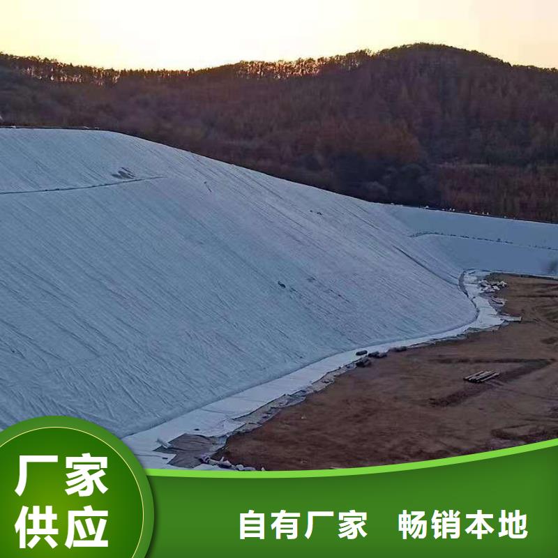 三维复合排水网_【防水土工布】厂家直销