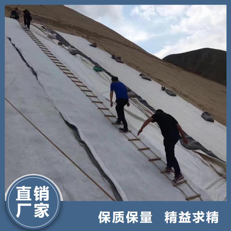 【三维复合排水网】_【三维土工网垫】规格齐全实力厂家