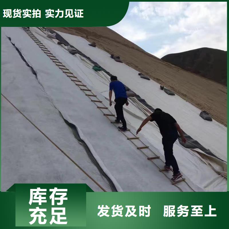 三维复合排水网【防水毯】质检严格