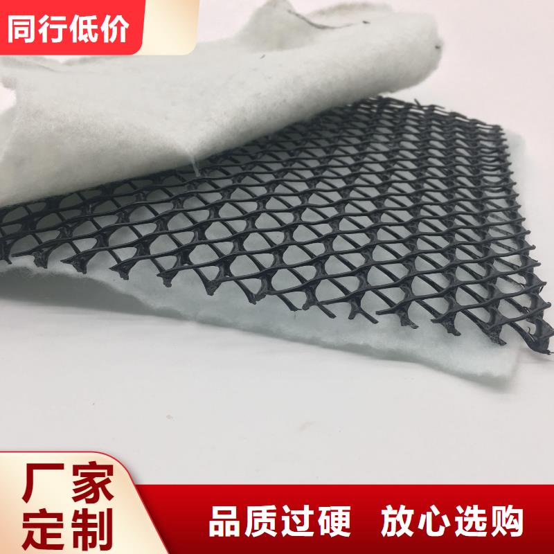 【三维复合排水网】_【三维土工网垫】规格齐全实力厂家