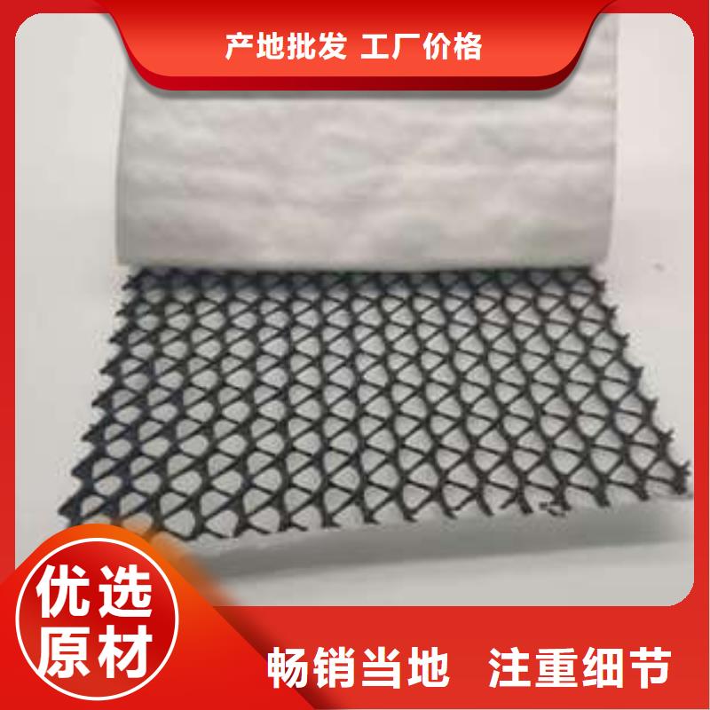 三维复合排水网塑料排水板现货直供