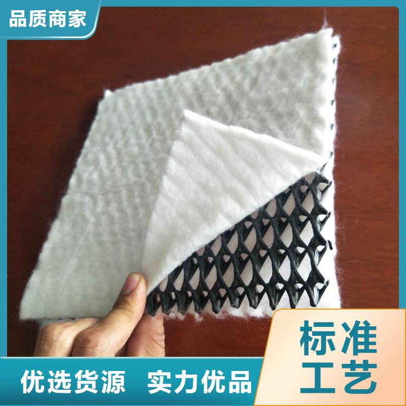 【三维复合排水网】,玻纤土工格栅可定制