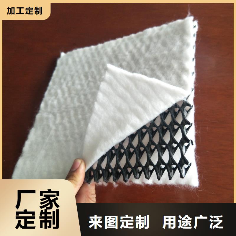 隧道内壁用排水网生产厂家