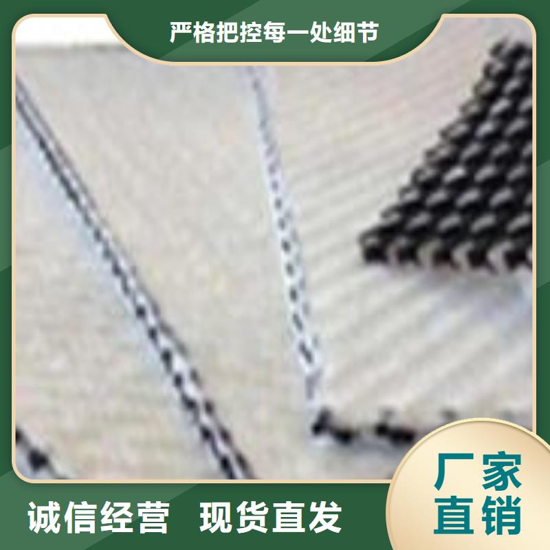 三维复合排水网_凸结点钢塑土工格栅精心选材