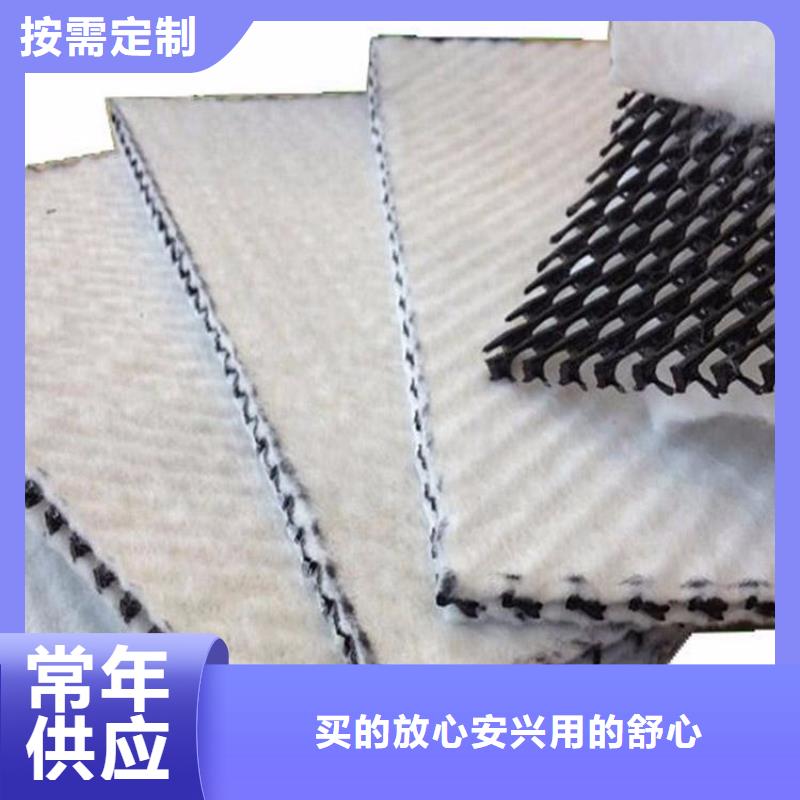 三维复合排水网-塑料土工格栅支持大批量采购