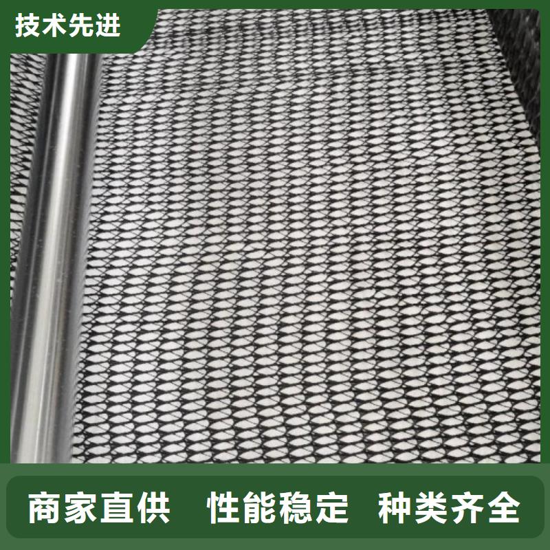 复合土工排水网厂家直供