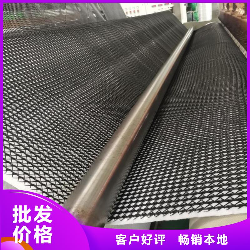 耐腐蚀三维复合排水网价格/报价