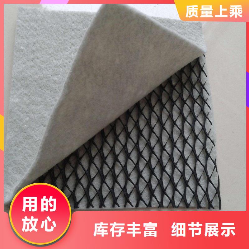 【三维复合排水网】_【三维土工网垫】规格齐全实力厂家