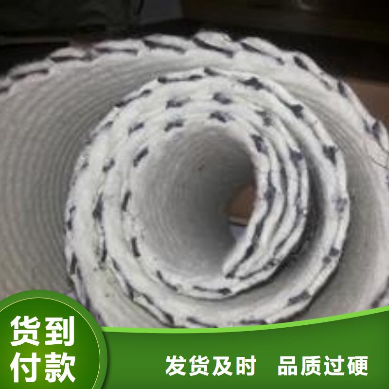 三维复合排水网生产厂家