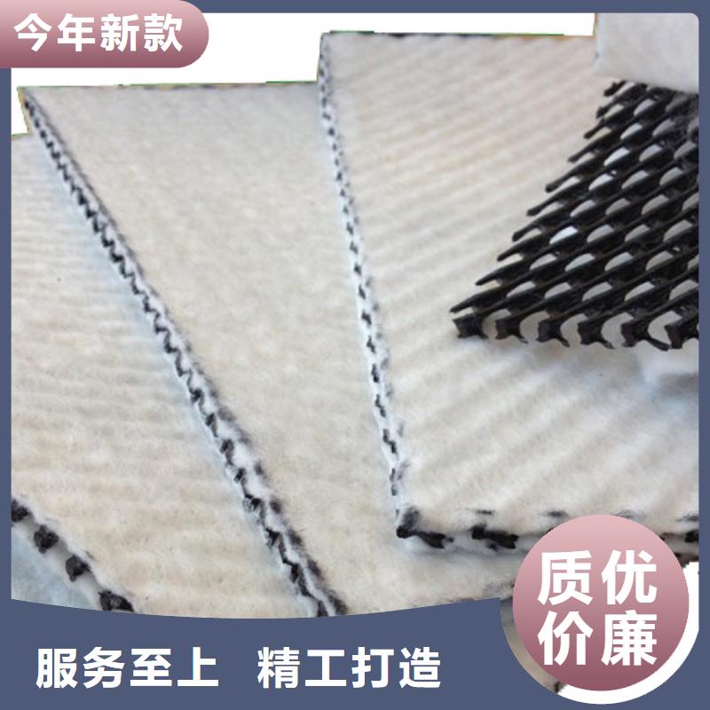 耐腐蚀三维复合排水网规格可定制