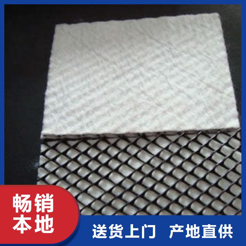 三维复合排水网生产厂家
