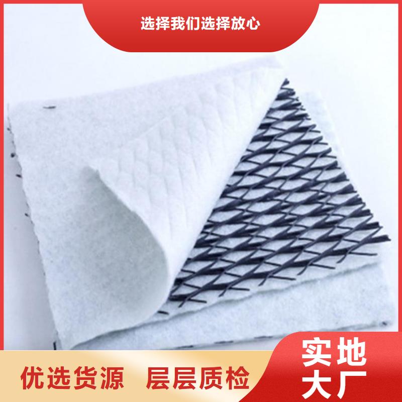 耐腐蚀三维复合排水网价格/报价