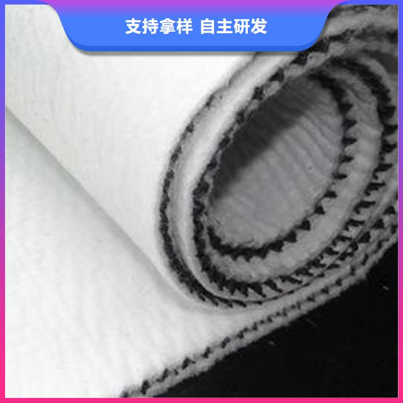 耐腐蚀三维复合排水网厂家直供