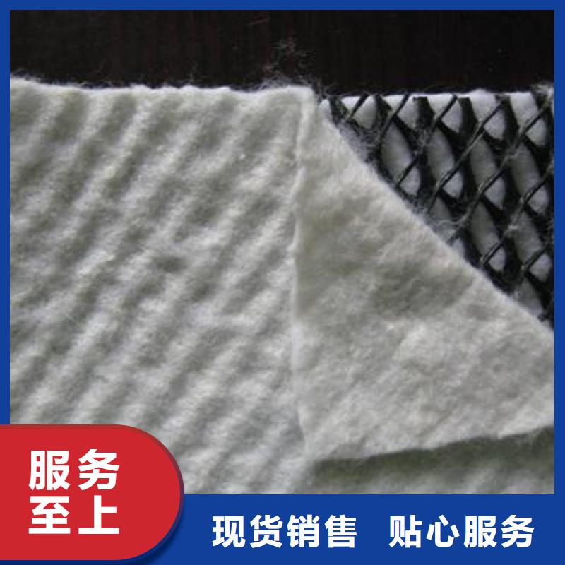 耐腐蚀三维复合排水网价格/报价