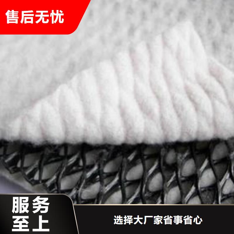【三维复合排水网HDPE黑色土工膜专业完善售后】