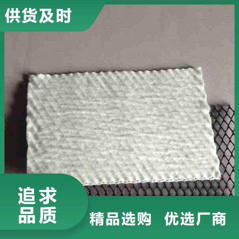 【三维复合排水网无纺布厂家直销值得选择】