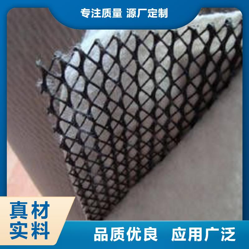 【三维复合排水网无纺布厂家直销值得选择】