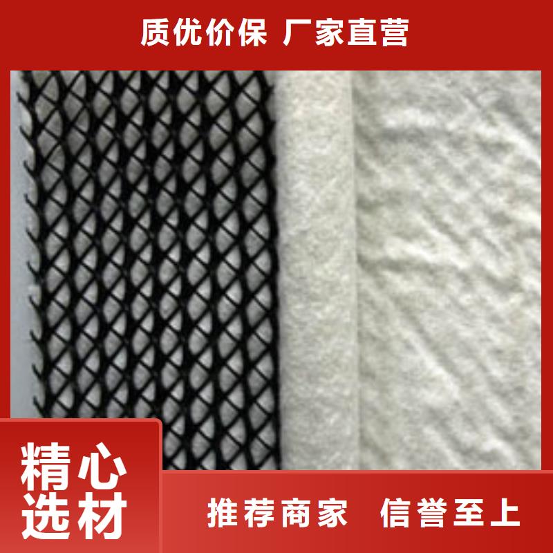 垃圾填埋场排水网厂家直供