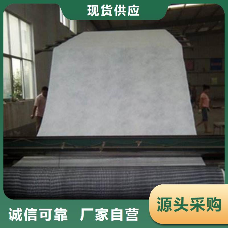 三维复合排水网防水土工布根据要求定制