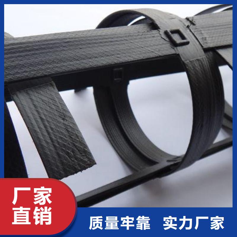 钢塑土工格栅矿用假顶网生产厂家