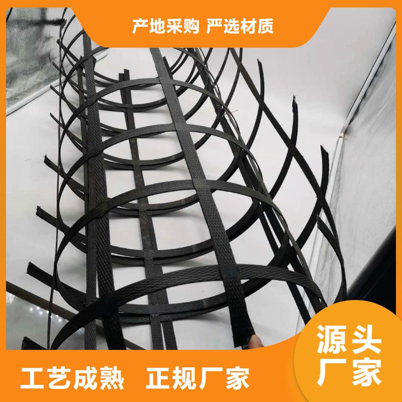 乐东县钢塑土工格栅矿用假顶网价格