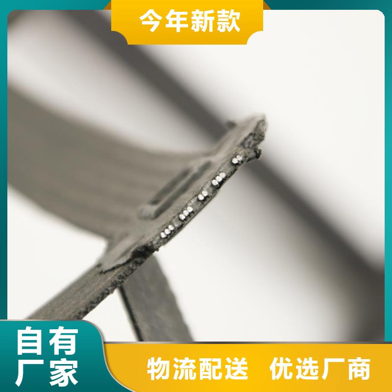 钢塑土工格栅型号