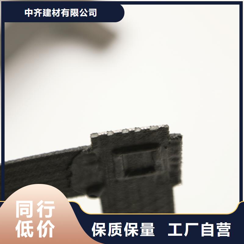 双向土工格栅生产厂家