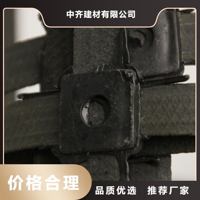 双向土工格栅