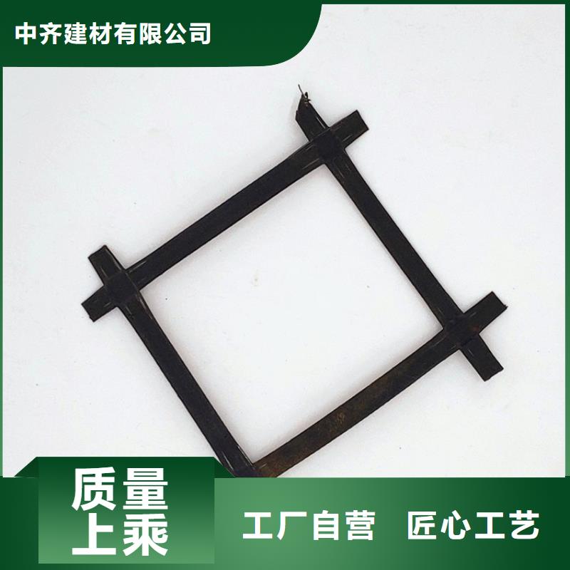 乐东县钢塑土工格栅矿用假顶网价格