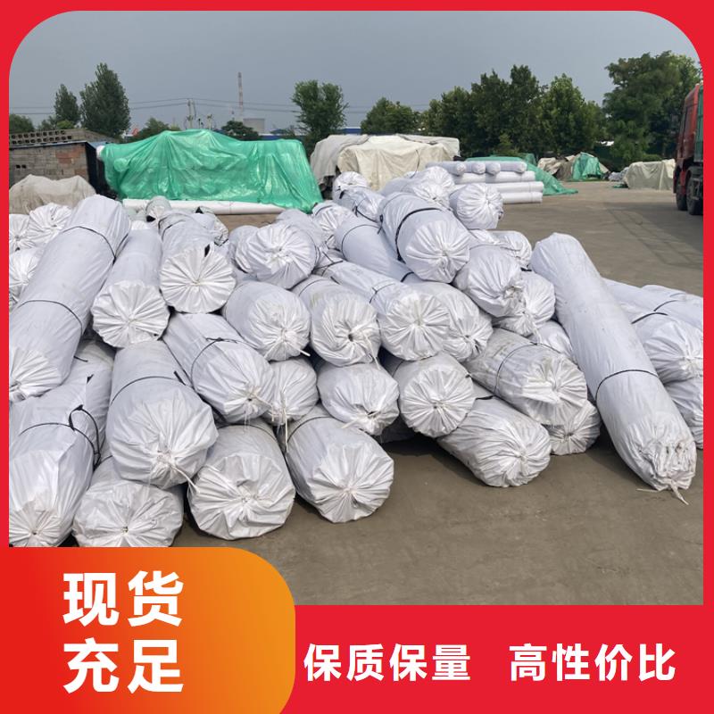 双向土工格栅