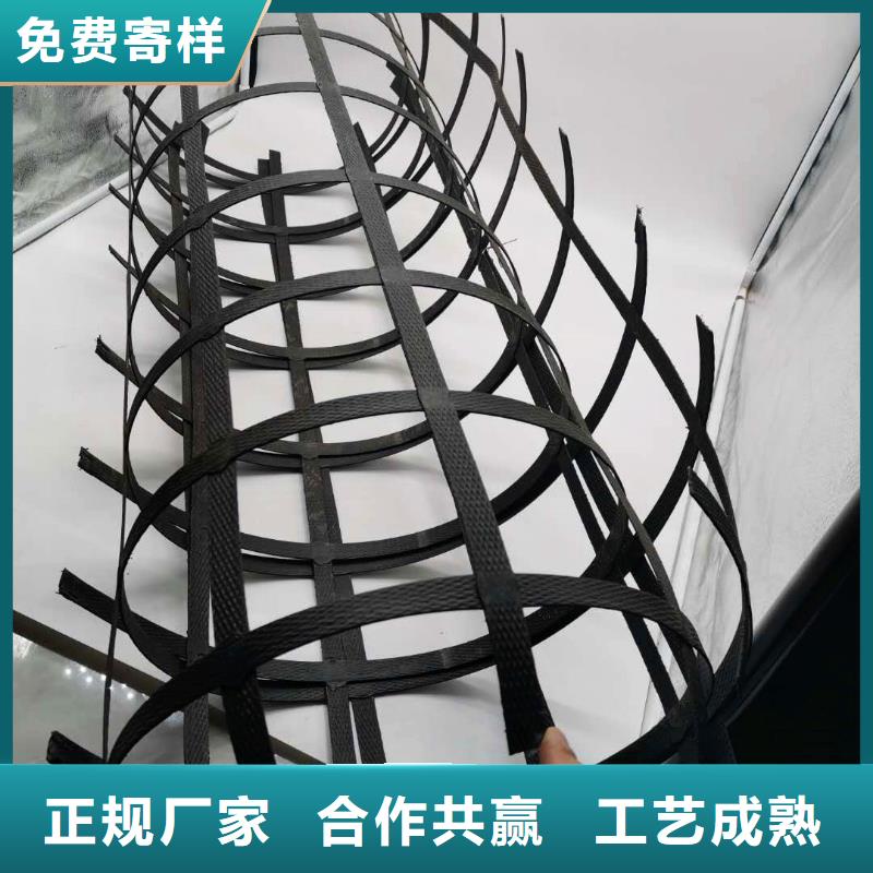 双向土工格栅pp焊接格栅哪里有