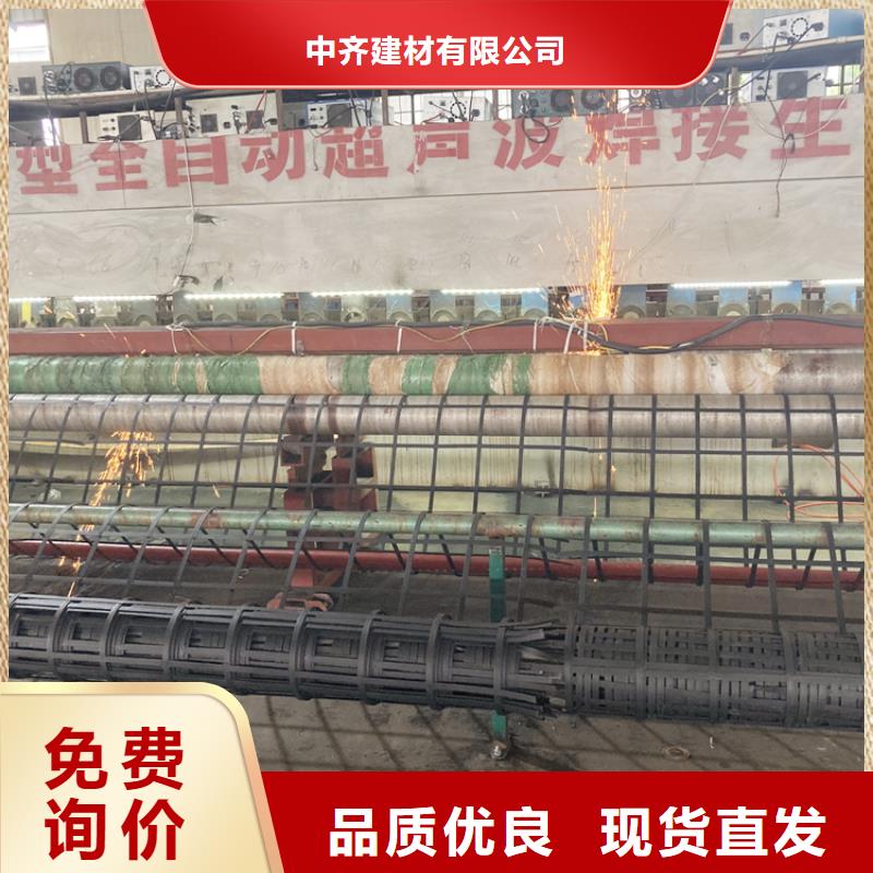 乐东县钢塑土工格栅矿用假顶网价格