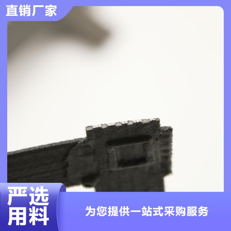 双向土工格栅价格