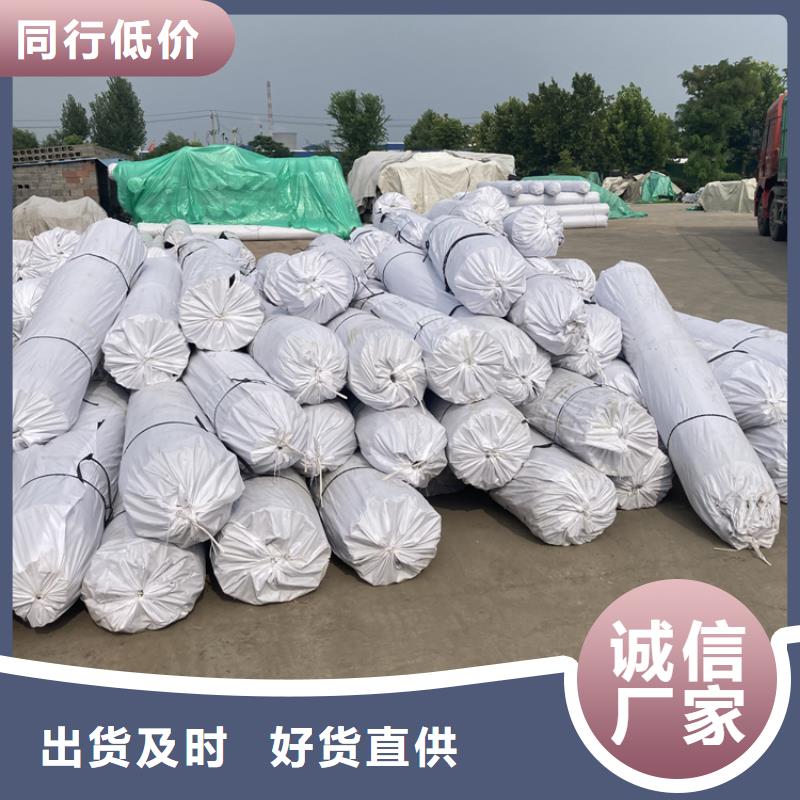 双向土工格栅价格