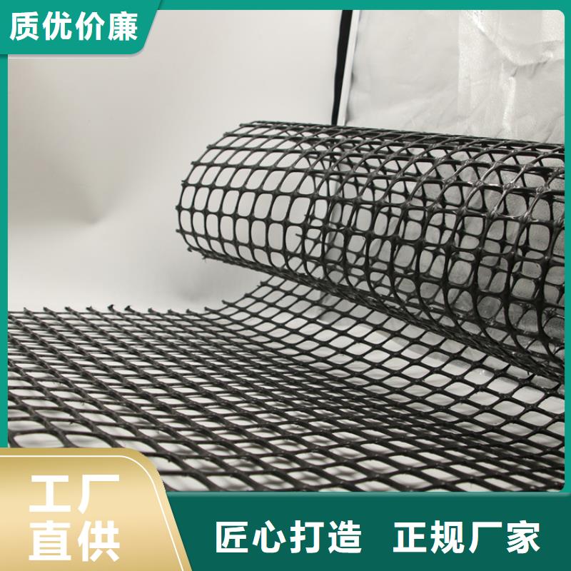 塑料土工格栅凸结点钢塑土工格栅工厂现货供应