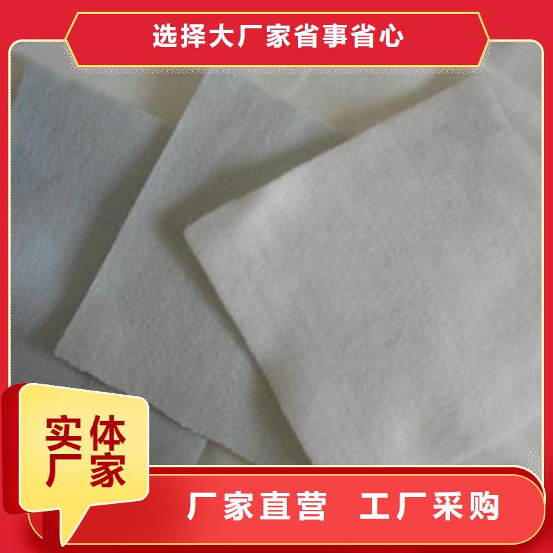 丙纶土工布
