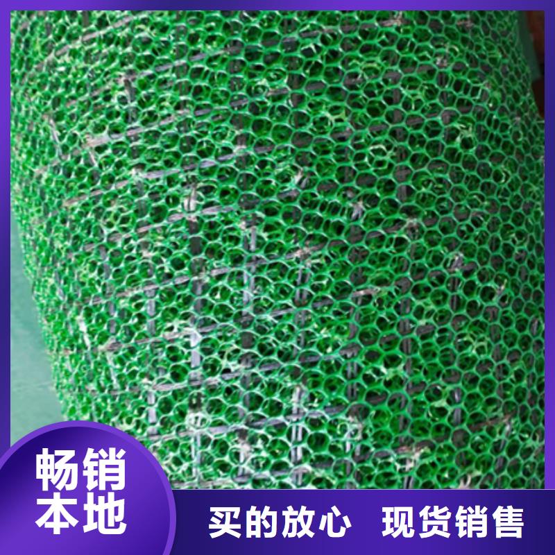 植被网