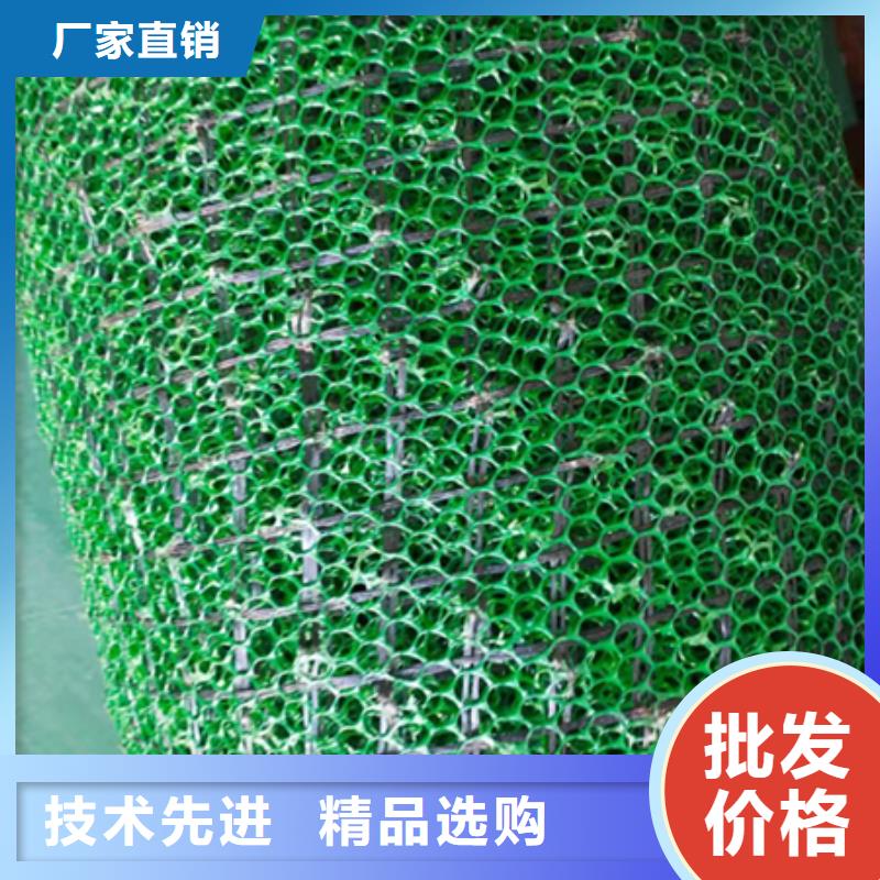 三维植被网