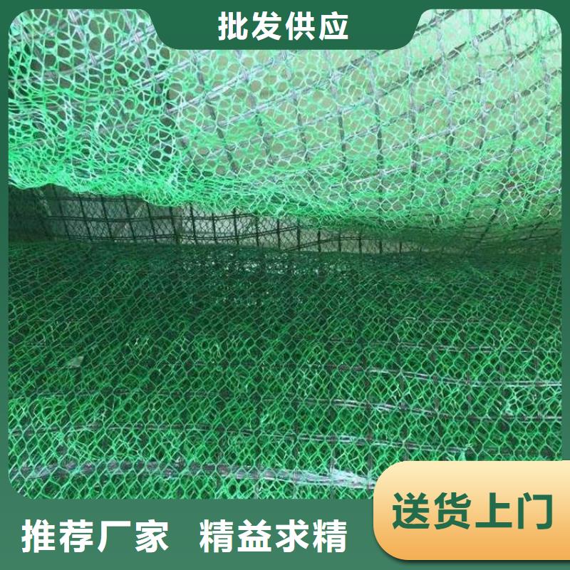 三维植草网生产厂家