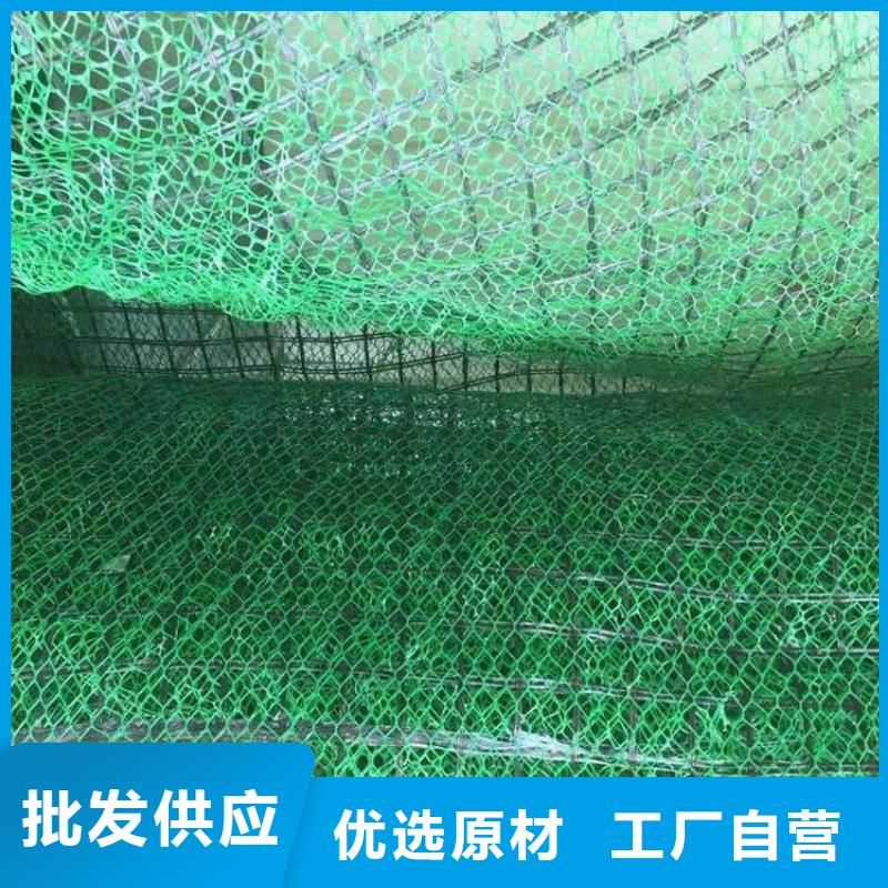 植被网