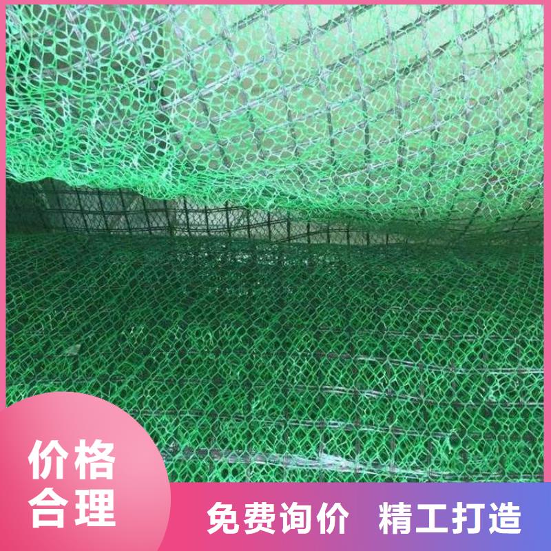 三维植草网生产厂家