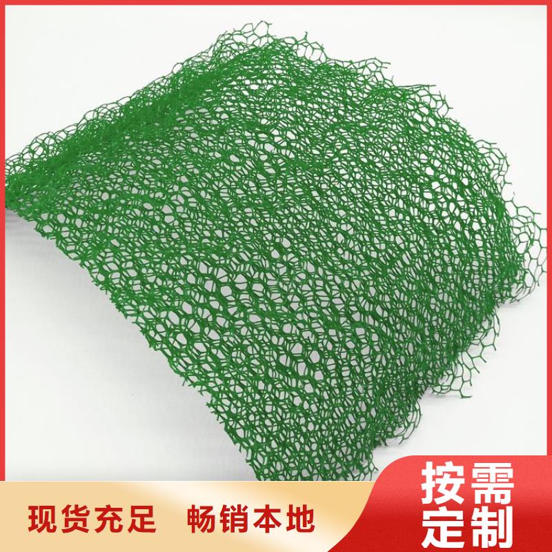 三维土工网垫生产厂家