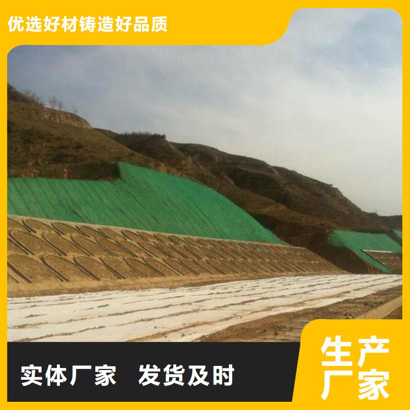 三维植草网生产厂家
