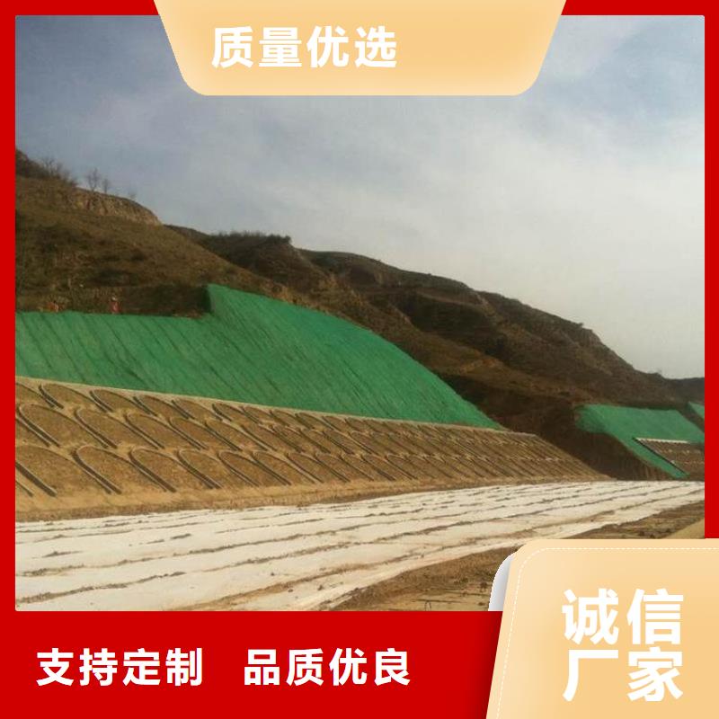 三维植被网双向塑料土工格栅物美价优