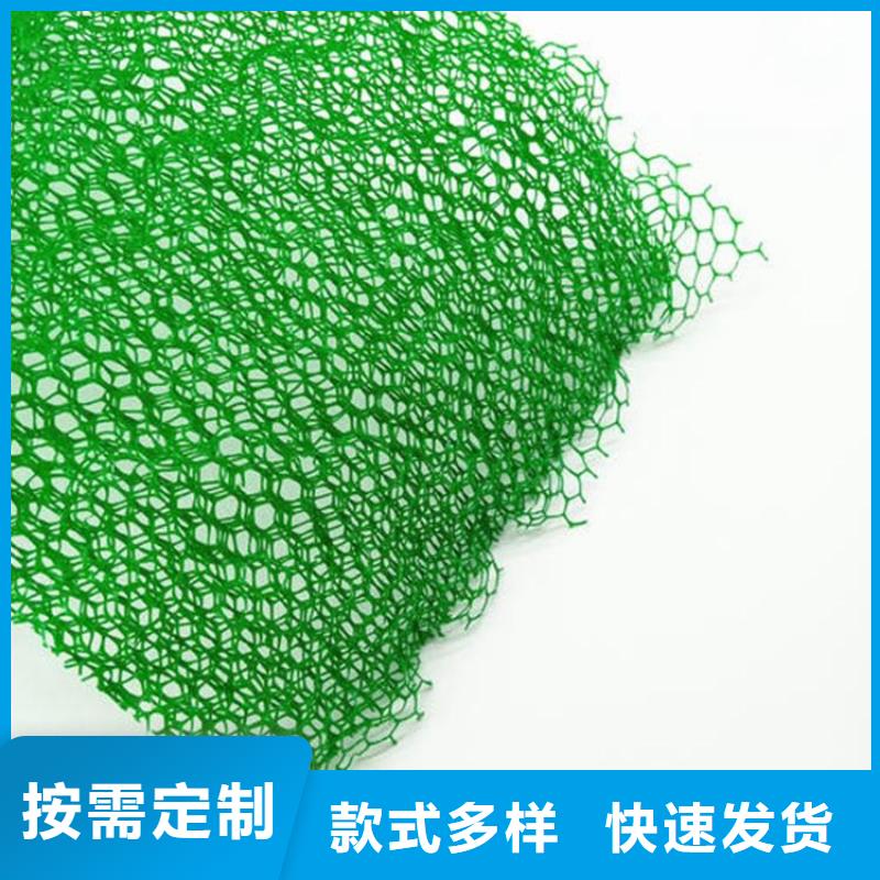 土工网生产厂家