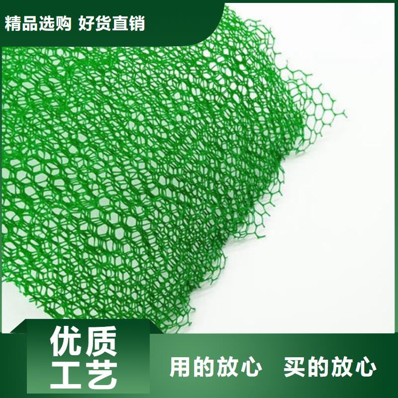 三维植被网钢塑土工格栅质优价廉