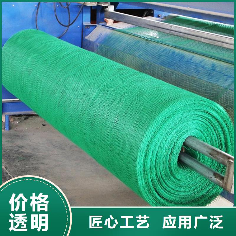 三维土工网垫厂家