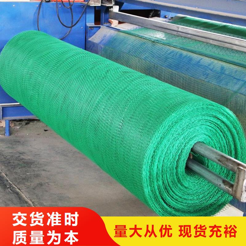 三维土工网垫生产厂家