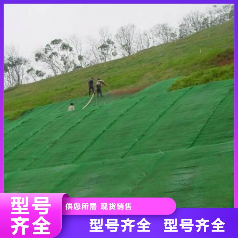 植被网