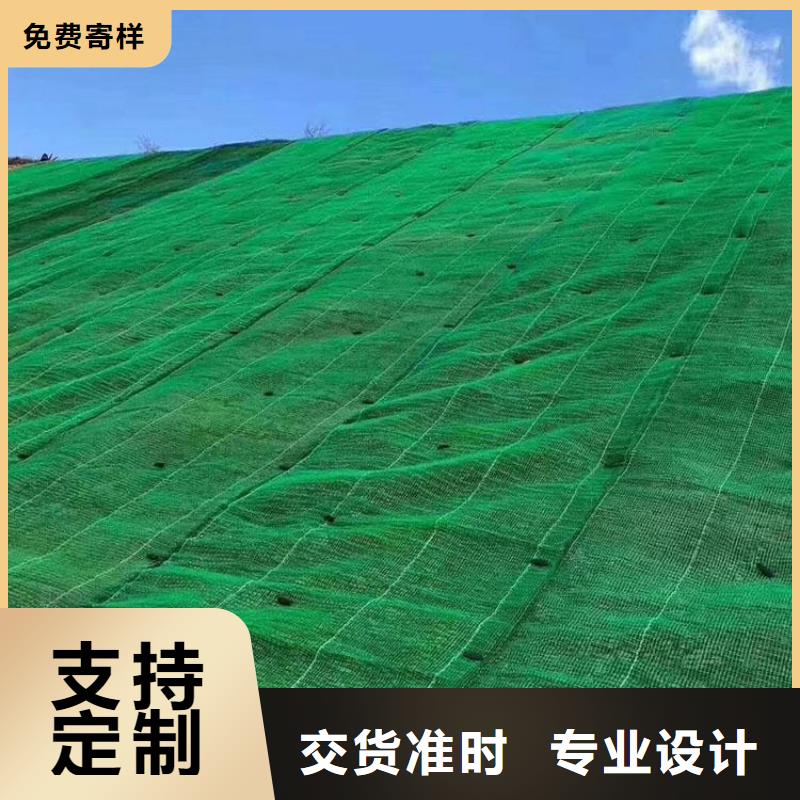 三维土工网垫厂家